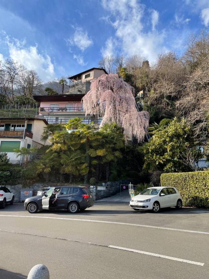 Casa Sibylle Studio - Piccolo Paradiso Minusio Exteriér fotografie